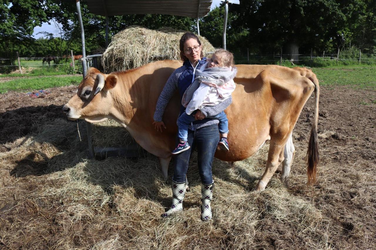 Decouverte D'Un Haras Proche Du Mont St Michel Hambye Zewnętrze zdjęcie