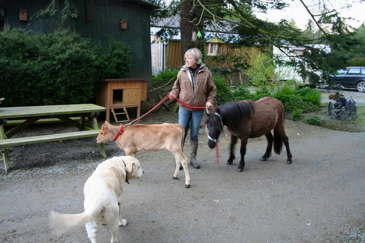 Decouverte D'Un Haras Proche Du Mont St Michel Hambye Zewnętrze zdjęcie