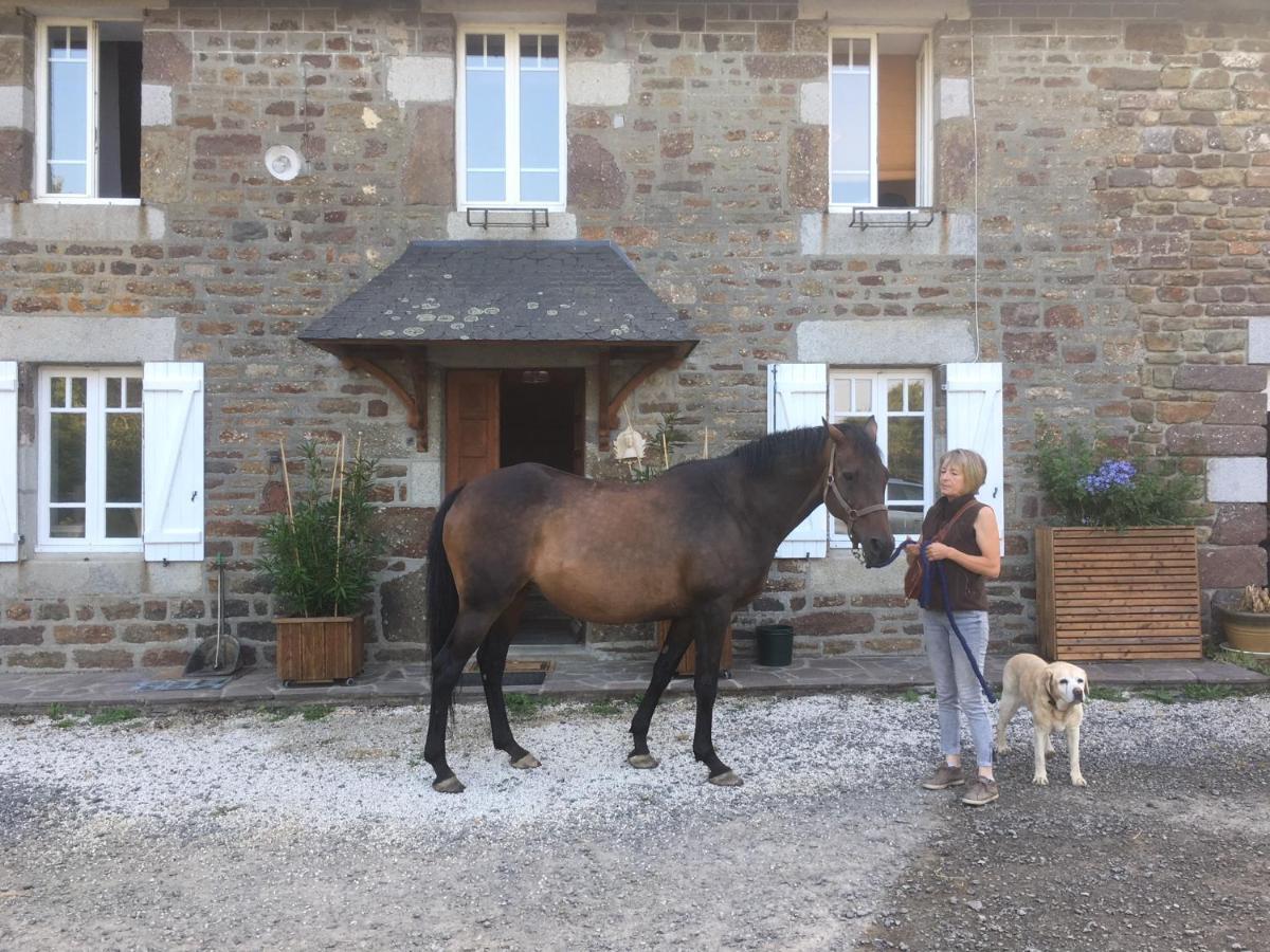 Decouverte D'Un Haras Proche Du Mont St Michel Hambye Zewnętrze zdjęcie