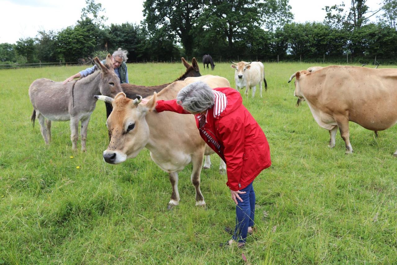 Decouverte D'Un Haras Proche Du Mont St Michel Hambye Zewnętrze zdjęcie
