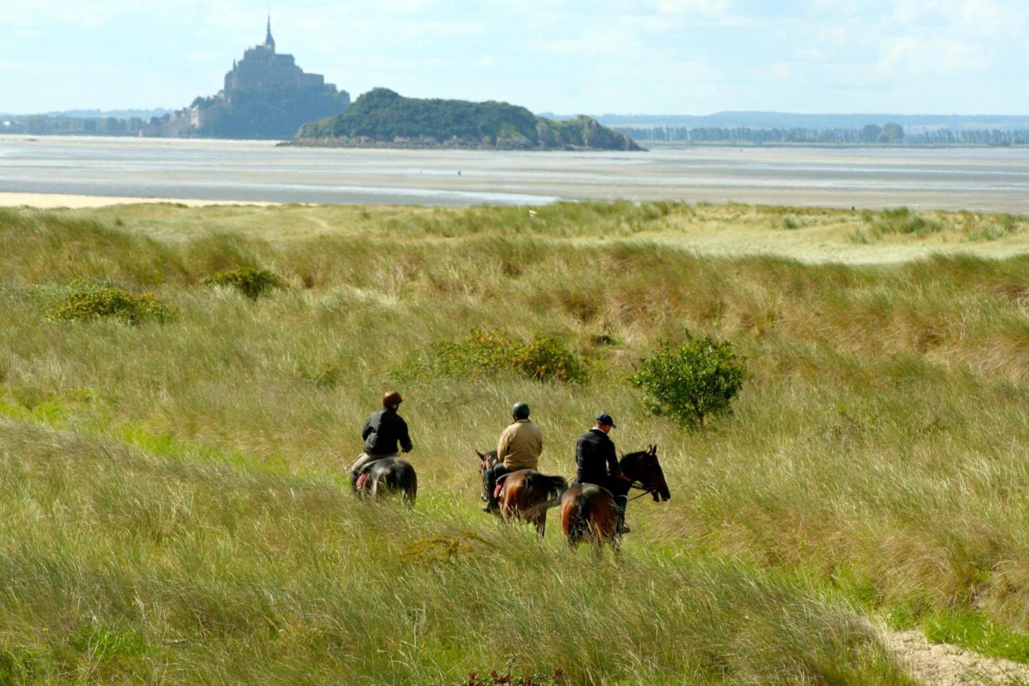 Decouverte D'Un Haras Proche Du Mont St Michel Hambye Zewnętrze zdjęcie