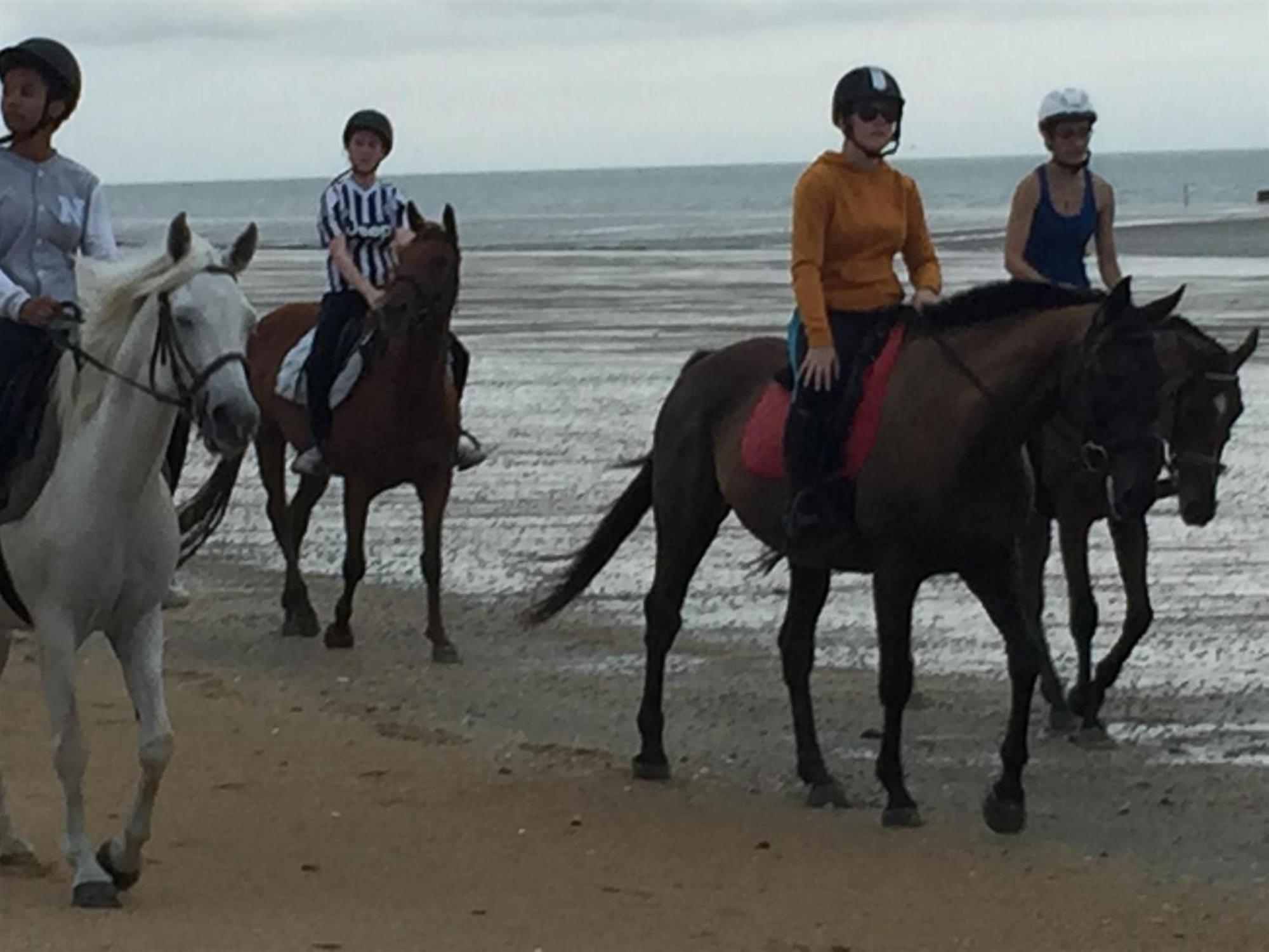 Decouverte D'Un Haras Proche Du Mont St Michel Hambye Zewnętrze zdjęcie