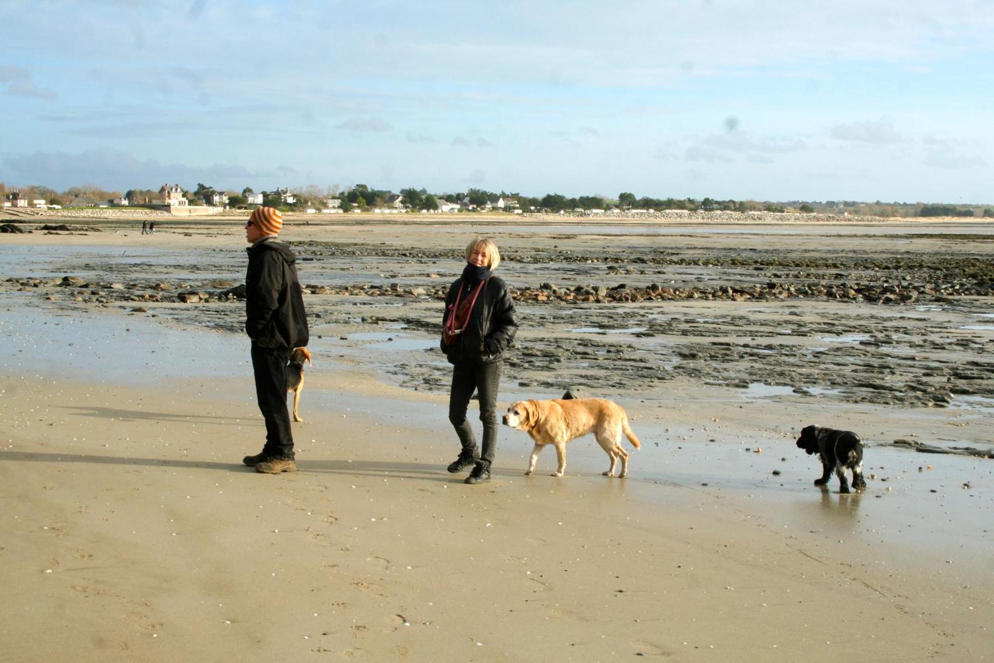 Decouverte D'Un Haras Proche Du Mont St Michel Hambye Zewnętrze zdjęcie
