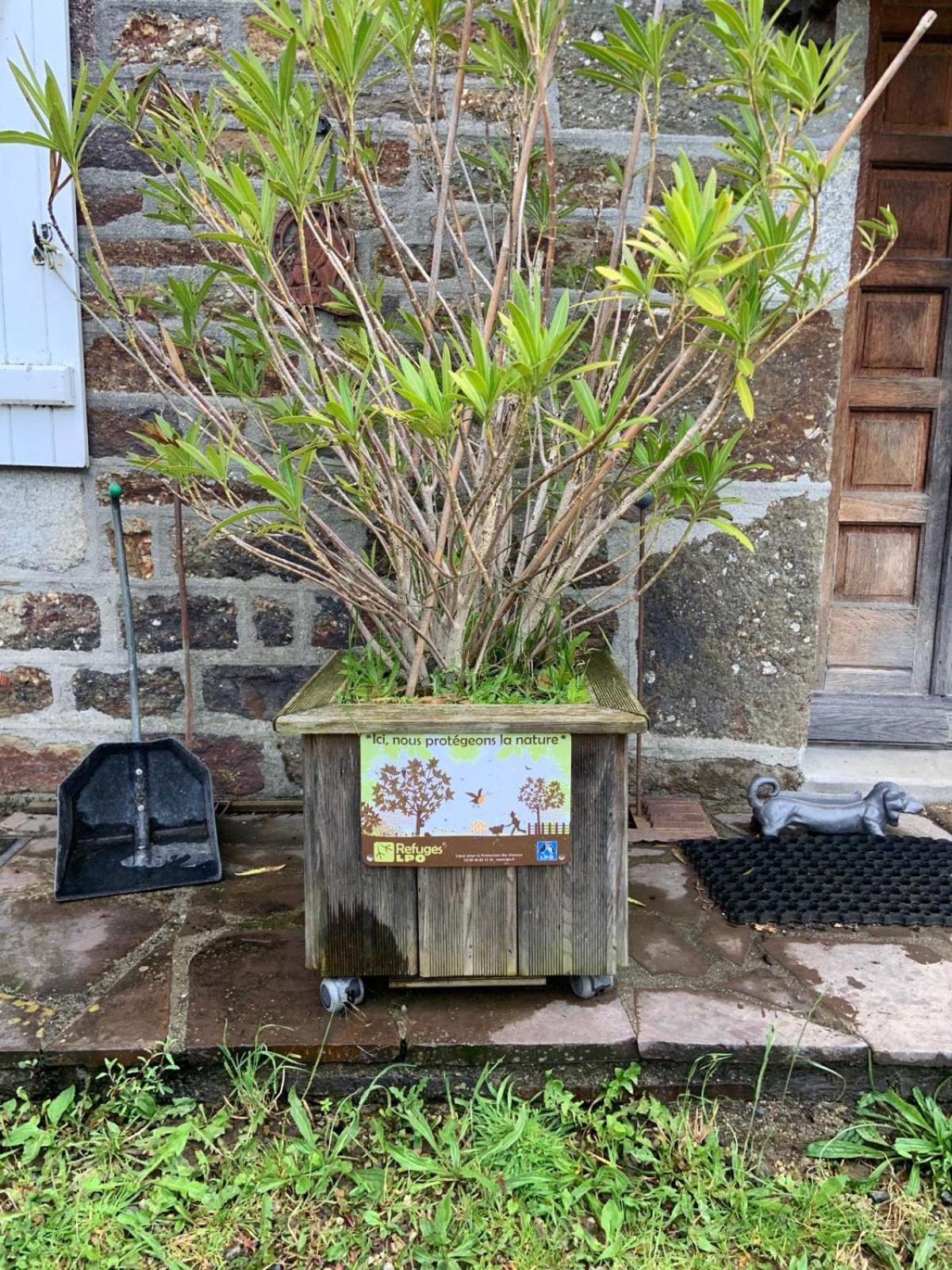 Decouverte D'Un Haras Proche Du Mont St Michel Hambye Zewnętrze zdjęcie
