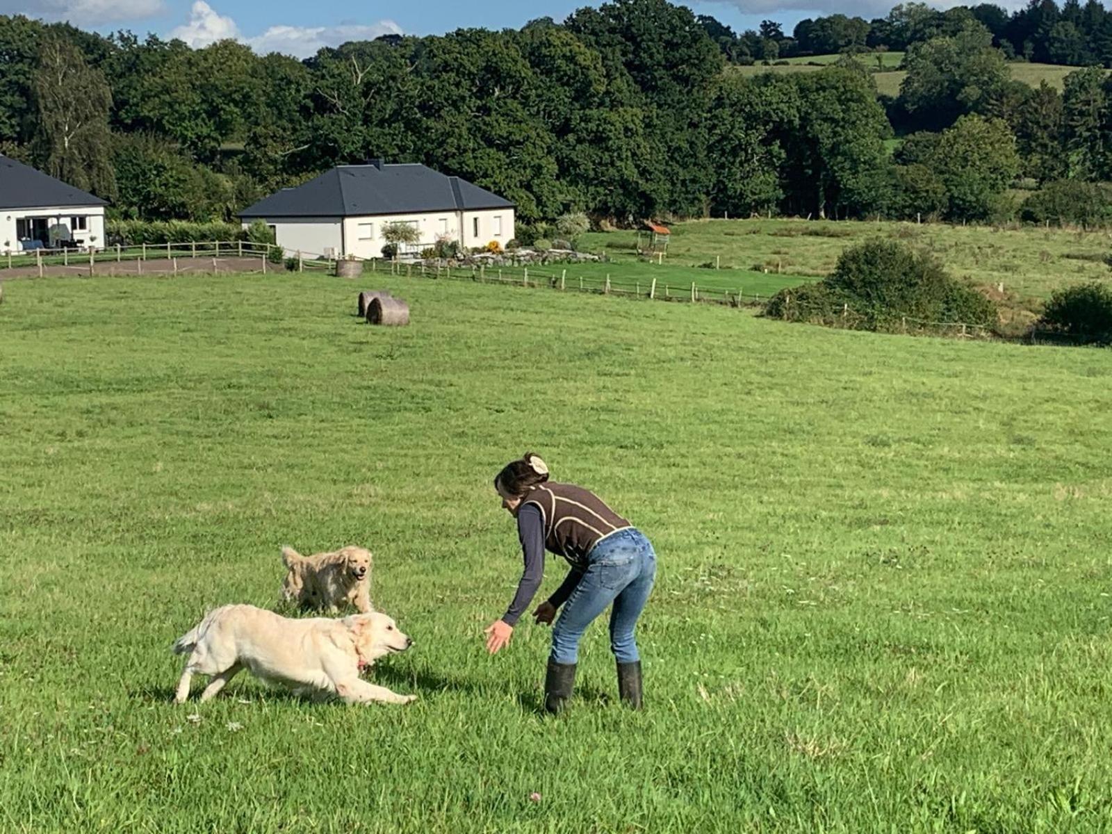 Decouverte D'Un Haras Proche Du Mont St Michel Hambye Zewnętrze zdjęcie